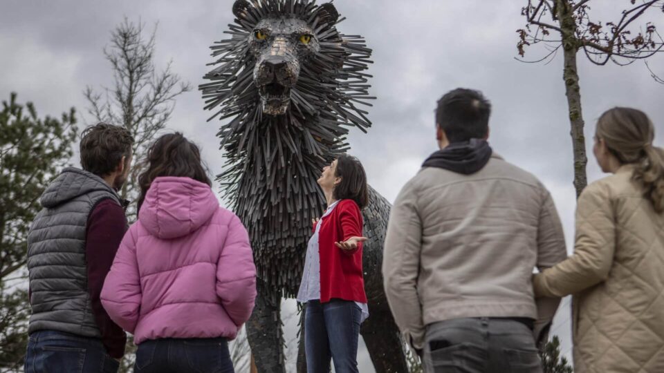 attractions-area-_Aslan_ (The Great Lion_ – C.S. Lewis Guided Walking Tour, _Worlds Within Wardrobes_ A Literary Odyssey_, Belfast, Co_Web Size