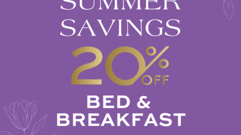 Enjoy 20% off summer savings on bed and breakfast at our cosy hotel with floral accents on a purple background.