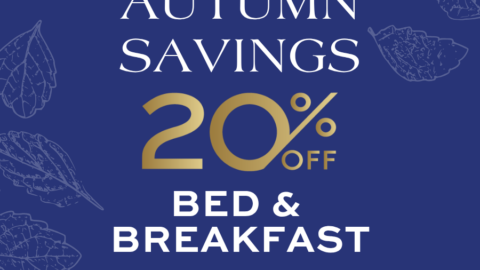 Enjoy 20% off bed and breakfast this autumn. Blue background with decorative leaves offers cosy seasonal charm.